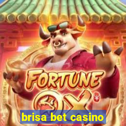 brisa bet casino