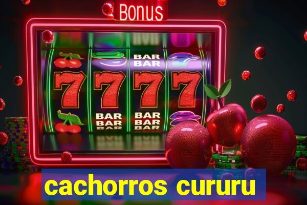 cachorros cururu