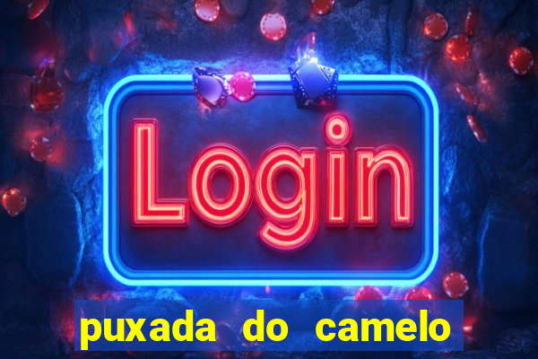 puxada do camelo jogo do bicho