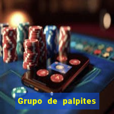 Grupo de palpites de futebol gratis