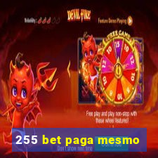 255 bet paga mesmo