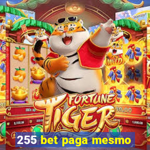 255 bet paga mesmo