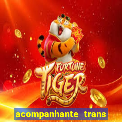 acompanhante trans de santos