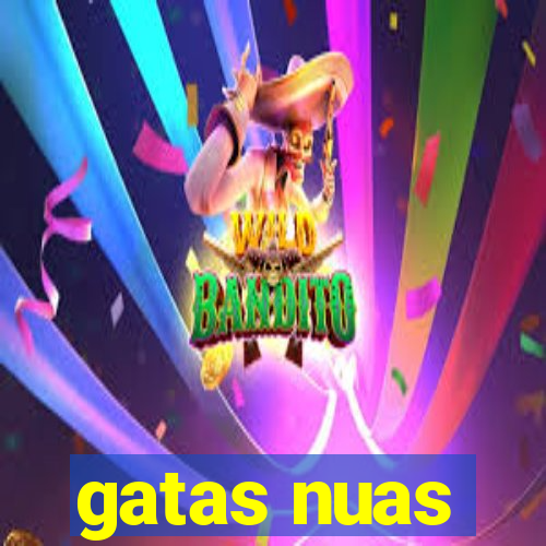 gatas nuas