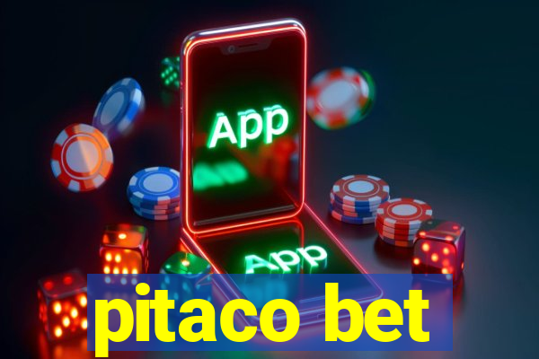 pitaco bet