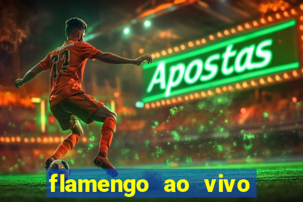 flamengo ao vivo hd play