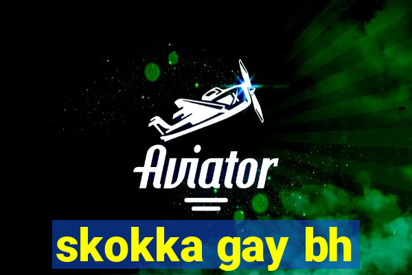 skokka gay bh