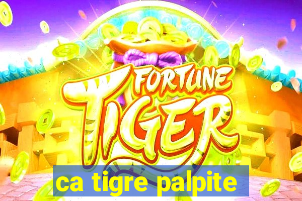 ca tigre palpite