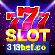 313bet.co