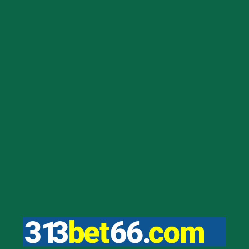 313bet66.com