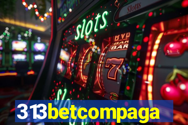 313betcompaga