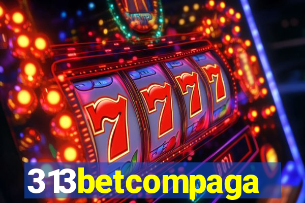 313betcompaga