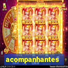 acompanhantes masculino porto velho