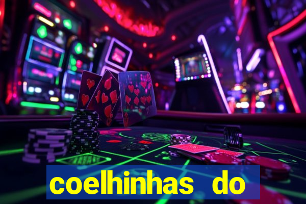 coelhinhas do brasil recife