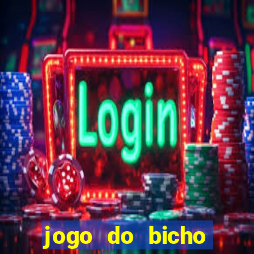 jogo do bicho crash bingo