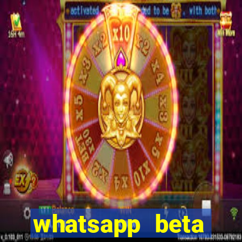 whatsapp beta mirror apk