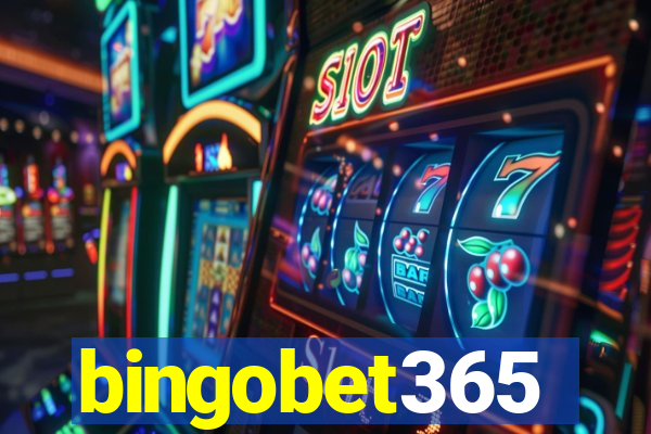 bingobet365