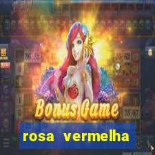 rosa vermelha (letra e cifra)