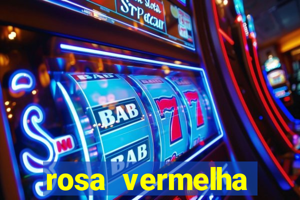 rosa vermelha (letra e cifra)