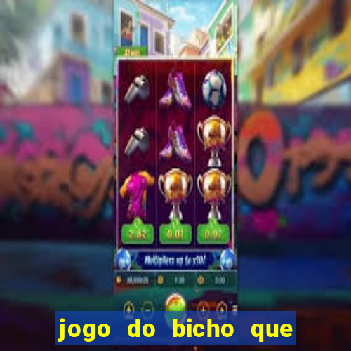 jogo do bicho que paga no pix