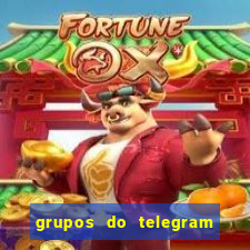 grupos do telegram mais 18