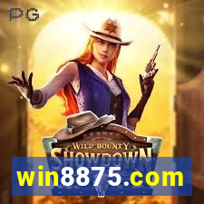 win8875.com