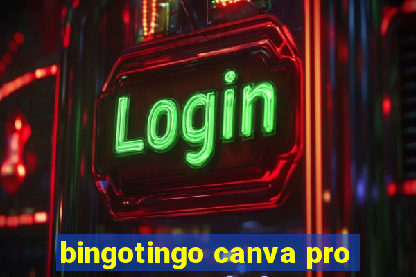 bingotingo canva pro