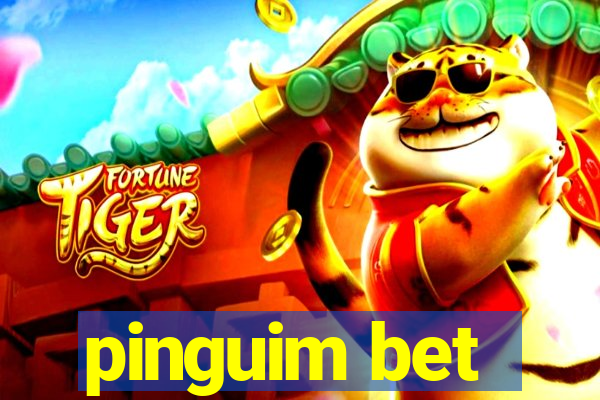 pinguim bet