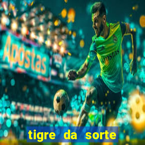 tigre da sorte fortune tiger 2 demo