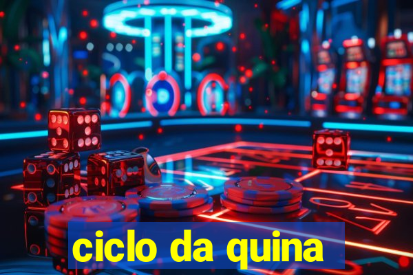 ciclo da quina