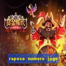 raposa numero jogo do bicho