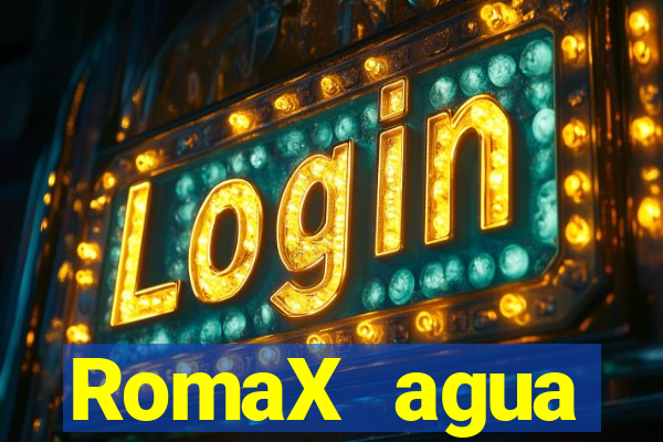 RomaX agua sanitaria fispq agua sanitaria romax