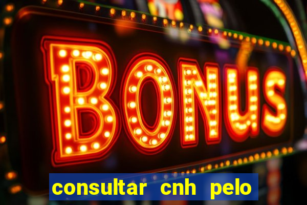 consultar cnh pelo cpf sp