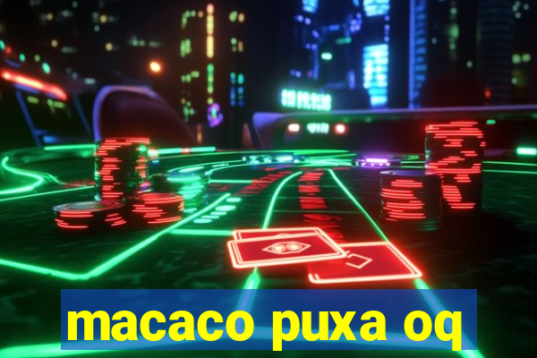 macaco puxa oq