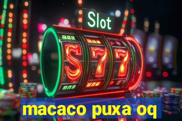 macaco puxa oq