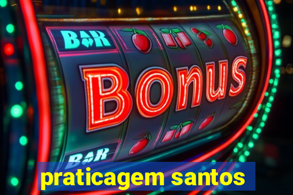 praticagem santos