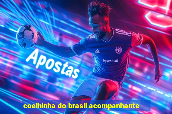 coelhinha do brasil acompanhante