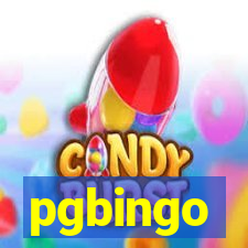 pgbingo