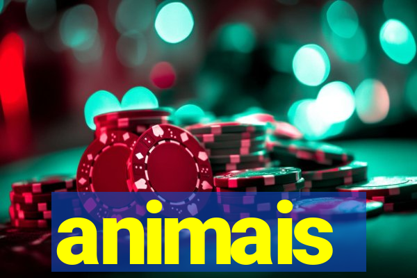 animais-pg.com