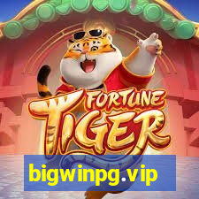 bigwinpg.vip