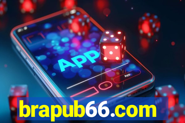 brapub66.com