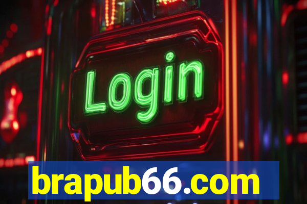 brapub66.com