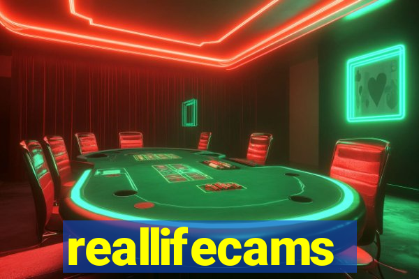 reallifecams