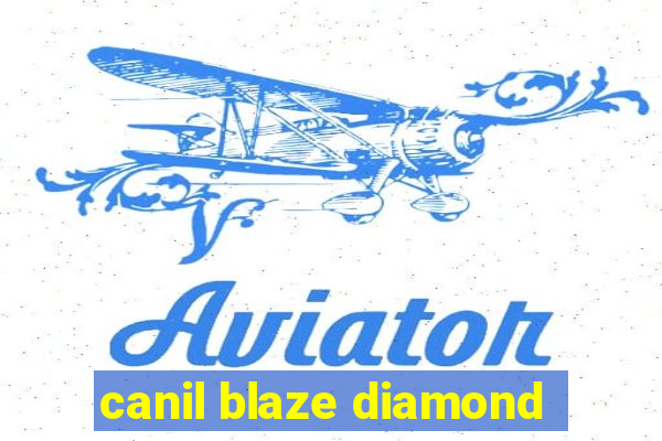 canil blaze diamond