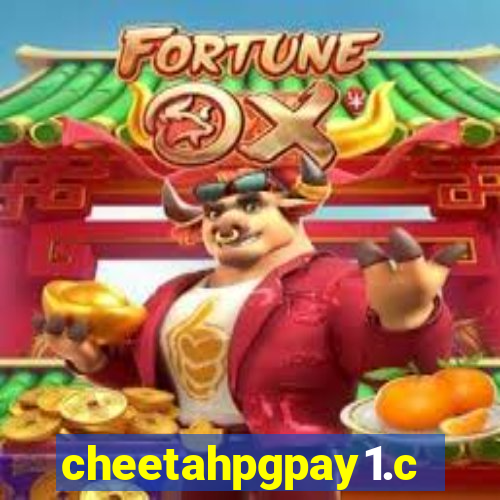 cheetahpgpay1.com