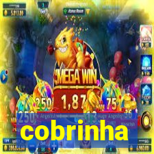 cobrinha