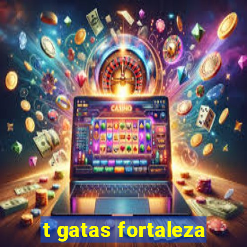 t gatas fortaleza