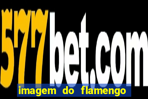 imagem do flamengo para perfil