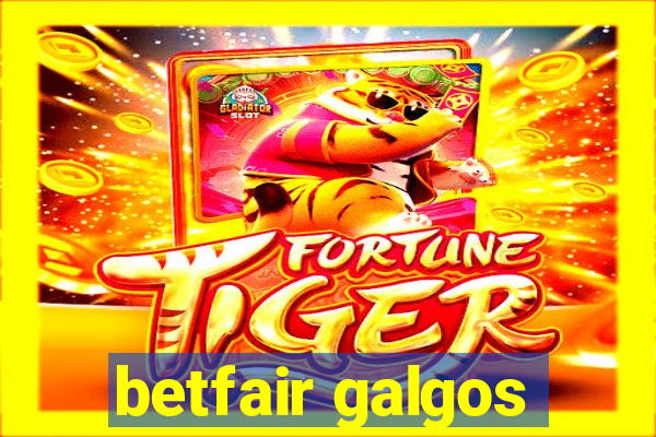 betfair galgos