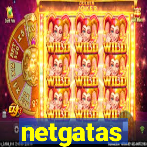 netgatas